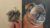 Draw and Paint a Pet Portrait Accurately