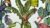 Drawing Jungle World + Photoshop Colouring