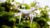 Drone Photography For Real Estate