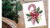 Easy Christmas Candy Cane Watercolor Gift Painting Course