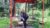 Economics: Economics and Economy of Developing World