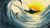 Elliott Wave: The Macro Trader