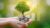 EXPLORE COMPLETE SAP CREDIT OR RISK MANAGEMENT