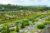 Explore Famous Landscape Styles and Gardens