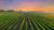 Farming Business Customer Service