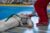 First Aid for Martial Arts