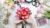 Floral Design 101