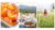 Food Videography 101