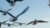 Free Career Development Tutorial – Navigating Performance Improvement Plan with Confidence