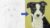 Free Drawing Tutorial – Draw a Border Collie Puppy using Pastel Pencils