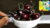 Free Drawing Tutorial – Draw a bowl of cherries with the Paintology drawing app