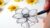 Free Drawing Tutorial – Learn To Draw Zen Flowers