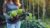 Free Farming Tutorial – CSA Professionals: Be a Successful Veggie Box Member!