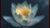 Free Meditation Tutorial – Free Meditation Course with Sankalpa