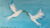 Free Oil Painting Tutorial – Learn to draw & paint a Peace Dove – Peace Collection 1 FREE