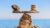 Free Personal Development Tutorial – Balanced Lifestyle: Maintain a Healthy Balance