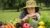 Free Salad Making Tutorial – Create Gourmet Vegetarian Salads with Super Food Ingredients