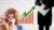 Free Stock Trading Tutorial – OpenInsider: Legal Insider Trading System