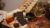 Free Tutorial – Tea and Chocolate Pairing with Dandelion Chocolates