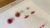 Free Watercolor Painting Tutorial – Painting Eucalyptus Flowers in Watercolour