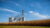 From Zero to Hero in Grain Commodity Business