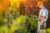 Fundamentals of Plant Science for Gardeners