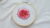 Hand Embroidery For Beginners
