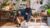 Home Styling and Decoration with Plants