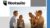 Hootsuite Practical Tutorial