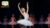 How To Be a Professional Dancer