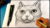 How to Draw Cat Portrait | Pencil Pet Cats Drawing Animal