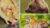 How to Draw Lions, Tigers and Bears using Pastel Pencils
