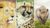 How to Draw Wild Animals Vol 4 – Lion, Rhino and Cheetah