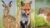 How To Draw Wild Animals Vol 5 – Hare, Fox and Mouse