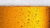 How to Judge Beer Like a Pro