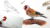 How To Paint in Watercolor a Realistic Bird | Goldfinch