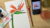 How to paint Watercolor Bird of Paradise from Reference