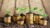 How To Save Short-term Money for Income Producing Assets