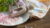 HOW TO: USE BODY SCRUBS