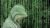 How Web Hackers Make BIG MONEY: Remote Code Execution