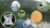 IFS PACsecure Quality and Safety of Packaging Materials