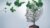 Influencing Without Authority Using Emotional Intelligence