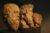 Influential Political Philosophers