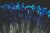 Introduction to Optical Fiber