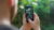 iPhone Photography Essentials