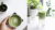 Japanese Pastry Course #3 Matcha desserts