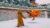 Kung Fu Shaolin Student Level 3 – Part 2