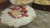 Lady Finger Whipped Cream Cake – Make it at Home