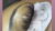 Lash Extensions Training Classic & Volume