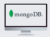 Learn MongoDB in 90 Minutes